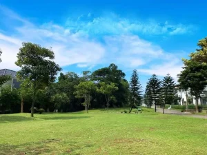 taman dan joging track